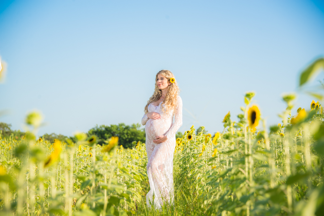 maternity picture white dress in middle of field of sunflowers